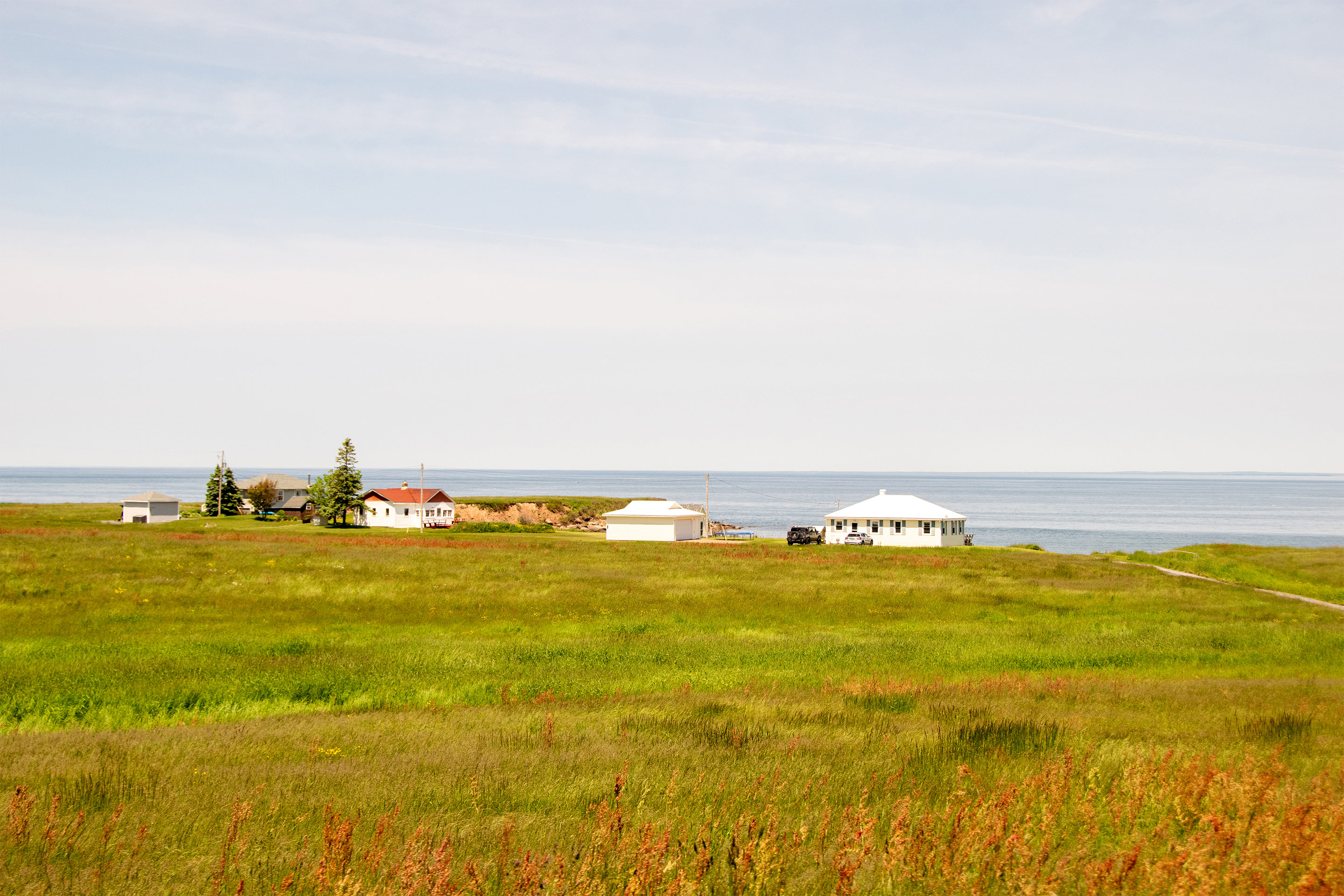 Placeholder Image_003